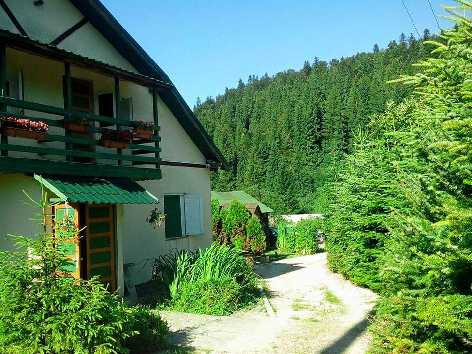 The Villa Among the Firs