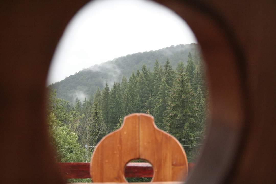 Fereastră în natură