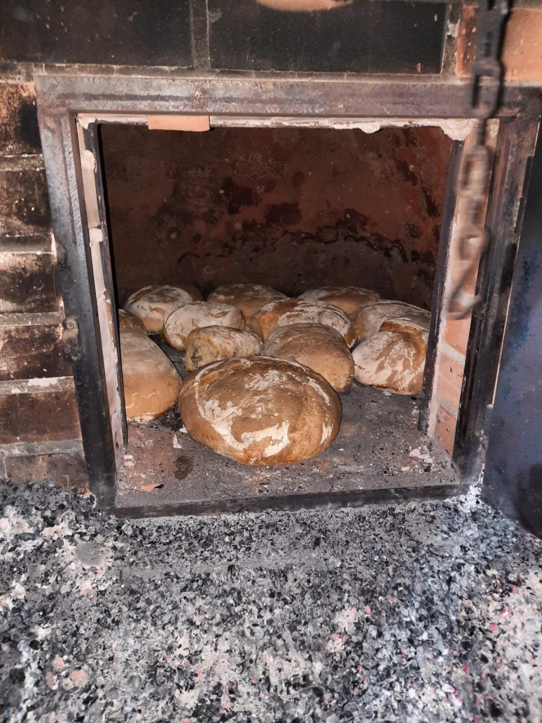 Bread oven